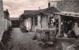 17 île D'Oléron DOMINO Maison Rustique SAINT-GEORGES-D'OLÉRON (Scan R/V) N° 19 \MP7147 - Ile D'Oléron