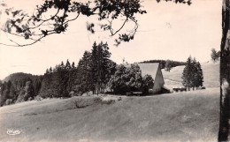 01  HAUTEVILLE-LOMPNES  FERME GUICHARD En été  (Scan R/V) N° 20 \MP7150 - Hauteville-Lompnes