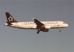 Airbus A320-CS-TNP  TAP PORTUGAL  2011 Star Alliance Avion Aviation  édition Flying (Scan R/V) N° 8 \MP7153 - 1946-....: Era Moderna