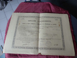 VP-10 , Diplôme D'herboriste , Ecole De Médecine Et De Pharmacie De Nantes, 3 Janvier 1942 - Diplome Und Schulzeugnisse