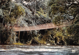GABON LIBREVILLE Pont De Liane Sur L'Ogooué à POUBARA éditions Du Lys (Scan R/V) N° 65 \MP7162 - Gabon