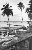 GABON PORT-GENTIL  Train De Bois Grumes Et Billes D'acajou édition Renault Carte Vierge  (Scan R/V) N° 20 \MP7163 - Gabón