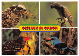 GABON   Butor étoilé Perroquet Calao Pygmée Martin Chasseur éditions Tropic Libreville (Scan R/V) N° 10 \MP7164 - Gabon