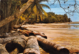 GABON   Plage De CAP ESTERIAS  éditions Trolez Libreville TROPIC Photo (Scan R/V) N° 15 \MP7164 - Gabón