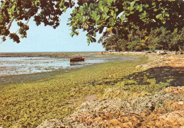 GABON   LIBREVILLE Cap Estérias La Plage éd TROPIC  (Scan R/V) N° 30 \MP7164 - Gabun