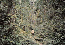 GABON    LASTOURVILLE Chemin Des Abeilles Piste Dans La Forêt  éd TROPIC Trolez LIBREVILLE   (Scan R/V) N° 32 \MP7164 - Gabun