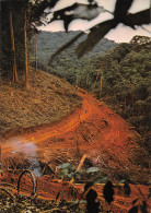 GABON Route D'Assok La Piste De Woleu-Ntem Monts De Cristal éd Trolez Libreville Tropic Foto  (Scan R/V) N° 33 \MP7165 - Gabon