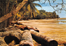 GABON Plage De CAP ESTERIAS Billes Grumes D'acajou édition Tropic LIBREVILLE Trolez  (Scan R/V) N° 50 \MP7166 - Gabón