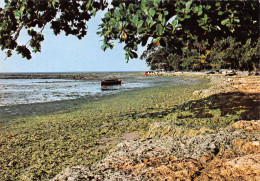 GABON  Pointe SAOUE Au Cap Esterias édition TROLEZ  LIBREVILLE    (Scan R/V) N° 54 \MP7166 - Gabun