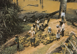 Gabon   Débarcadère à Nzanayong Nzeng Ayong Ogooué édition Tropic LIBREVILLE  (Scan R/V) N° 44 \MP7166 - Gabon