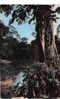 COTE D'IVOIRE  La Mé Adzopé Prés D'Abidjan  édition ESTEL  (Scan R/V) N° 8 \MP7167 - Costa D'Avorio