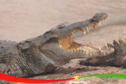 BURKINA-FASO Les Caimans De Bazoulé édition Les RONIERS Carte Vierge Non Circulé  (Scan R/V) N° 35 \MP7167 - Burkina Faso