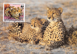 BURKINA-FASO OUAGADOUGOU Guepard Gepard Premier Jour 19 Juillet 1984   (Scan R/V) N° 37 \MP7167 - Burkina Faso