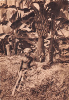 GUINEE CONAKRY Jeune Fille Dans La Plantation De Bananes  éditions Hélio LESCUYER Carte Vierge  (Scan R/V) N° 3 \MP7169 - Frans Guinee