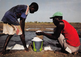 GUINEE CONAKRY Marais Salants De Ténéplan Zone De Douprou  (Scan R/V) N° 16 \MP7169 - Frans Guinee