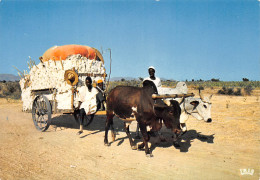 Sénégal   Charette à Boeufs  (Scan R/V) N° 46  \MP7169 - Sénégal