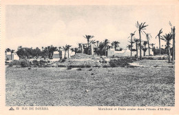 TUNISIE DJERBA Marabout Et Puits Arabe Dans L'Oasis El-May édition Anan-Turki Carte Non Circulé (Scan R/V) N° 66 \MP7170 - Tunisie