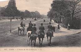 PARIS   Avenue Du Bois De Boulogne  édition L.L   (Scan R/V) N° 65 \MP7173 - Parques, Jardines