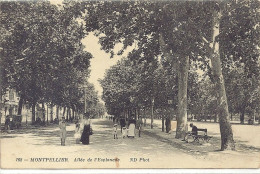 *CPA - 34 - MONTPELLIER - Allée De L'Esplanade - Montpellier