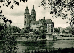 73294062 Magdeburg Dom  Magdeburg - Maagdenburg