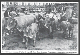 1987  --  ARRIVEE DES TROUPEAUX A AUBRAC FETE DE LA TRANSHUMANCE . 4B085 - Ohne Zuordnung