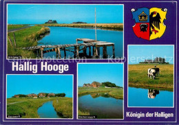 73293591 Hallig Hooge Kirchwarft Hanswarft Backenswarft Kuehe Wappen Koenigin De - Other & Unclassified