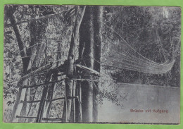 RARE CPA KAMERUN Brücke Mit Aufgang Cameroun Allemand Pont De Liane Passerelle Schlingpflanzen Tor - Kamerun