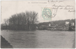 CPA DE CHAMPIGNY-SUR-MARNE  (VAL DE MARNE)  ILES DU MOULIN - Champigny Sur Marne