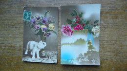 2 Anciennes Cartes , Avec Des Fleurs - Flores