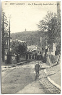 MONTMORENCY - Rue De Joigny Et Le Mont Griffard - Montmorency