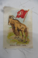 Chromo Image Sur Tissu Ruban - Tunisie - Chèvre - Barbary Sheep - Autres & Non Classés