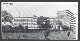 1980  --  BELGIQUE . BORNCELLES . ASPECT DU VILLAGE . 4B092 - Non Classificati