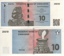 ZIMBABWE.  Newly Issued 10 ZIG.    Dated  2024    PW110    UNC. - Zimbabwe