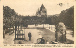 77  Seine Et Marne Provins La Place De Câtel Avec La Croix Des Changes    N° 49 \MN6020 - Provins