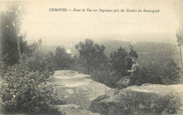 77 Seine Et Marne   Nemours Point De Vue Sur Bagneaux Pris Des Rochers Du Beauregard       N° 10 \MN6023 - Nemours