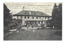 32540 - Château De Courgevaux Près De Morat - Otros & Sin Clasificación