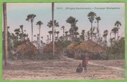 RARE CPA SENEGAL Paysage Sénégalais Animé Village - Senegal