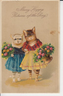 2 Chattes Debout Bouque De Fleurs Many Happy Returns Of The Day 2 Standing Cats, Bouquet Of Flowers 2 Sc - Gekleidete Tiere