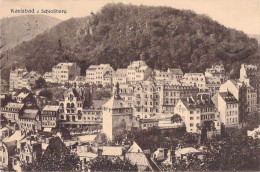 Karlsbad (Karlovy Vary) - Schlosßberg Gel.1925 - Böhmen Und Mähren