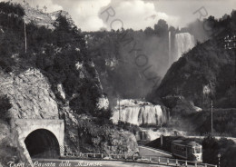 CARTOLINA  C11 TERNI,UMBRIA-CASCATA DELLE MARMORE-IL VELINO PRECIPITA NEL FIUME NERA DA UN'ALTEZZA DI M.165-VIAGG.1960 - Terni