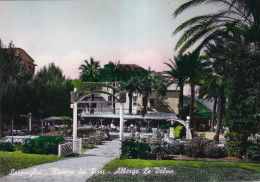  Laigueglia Albergo Le Palme - Andere & Zonder Classificatie