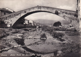 Savona Antico Ponte Dei Saraceni In Zinola - Otros & Sin Clasificación