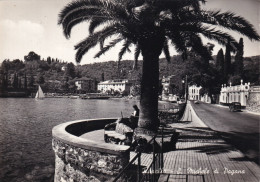 Rapallo San Michele Di Pagana - Sonstige & Ohne Zuordnung