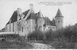 CPA Boissy Maugis-Château Des Perrignes-1       L1919 - Andere & Zonder Classificatie