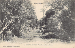 Martinique - FORT De FRANCE - Un Chemin Dans La Brousse - Ed. Cunge 6 - Fort De France
