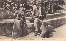 Algérie - Les Gorges De La Chiffa - A L'Hôtel Du Ruisseau Des Singes - Ed. CAP 65 - Altri & Non Classificati