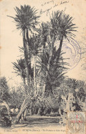 Maroc - OUJDA - Un Palmier à Sidi-Yahya - Ed. F. Millet  - Autres & Non Classés