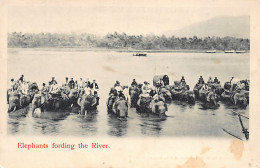 Malaysia - Elephants Fording A River - SEE SCANS FOR CONDITION - Publ. Unknown  - Maleisië