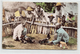 Haiti - Cock Fighters - Publ. Unknown  - Haïti