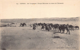 Algérie - Sahara - Au Campement - Groupe Méhariste Au Retour De L'abreuvoir - Ed. Lauroy 153 - Men